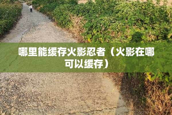 哪里能缓存火影忍者（火影在哪可以缓存）