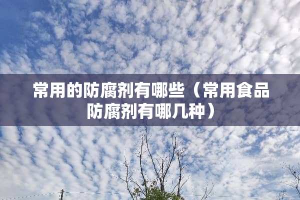 常用的防腐剂有哪些（常用食品防腐剂有哪几种）