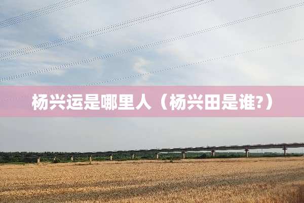 杨兴运是哪里人（杨兴田是谁?）