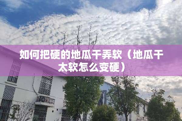 如何把硬的地瓜干弄软（地瓜干太软怎么变硬）