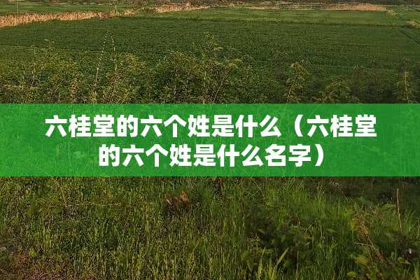 六桂堂的六个姓是什么（六桂堂的六个姓是什么名字）