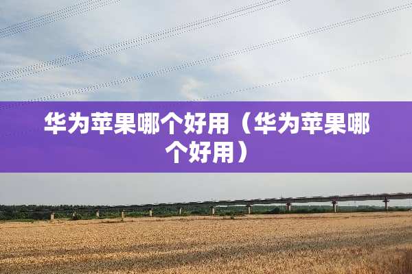 华为苹果哪个好用（华为苹果哪个好用）