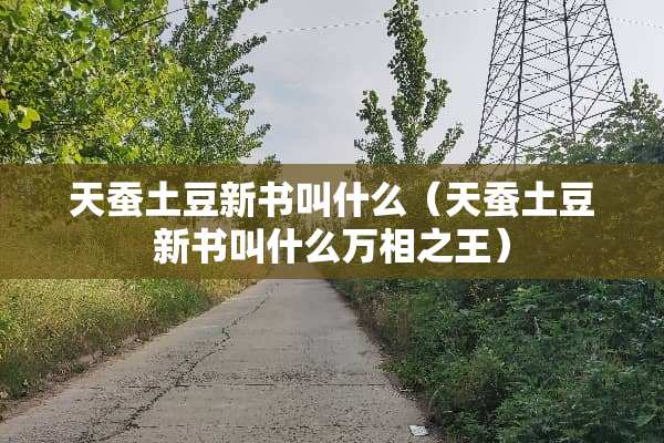 天蚕土豆新书叫什么（天蚕土豆新书叫什么万相之王）