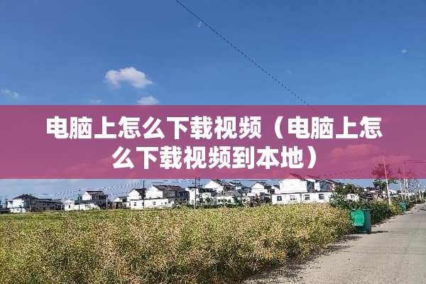 电脑上怎么下载视频（电脑上怎么下载视频到本地）