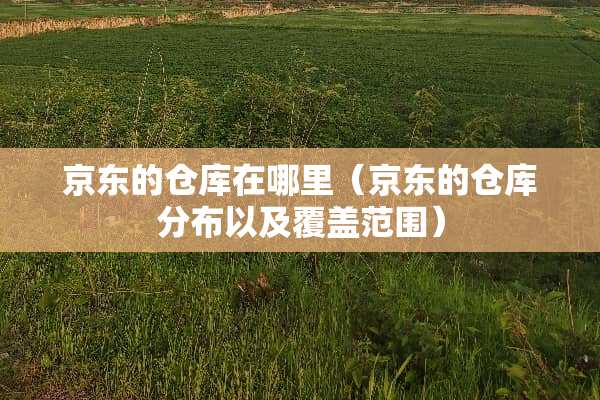京东的仓库在哪里（京东的仓库分布以及覆盖范围）