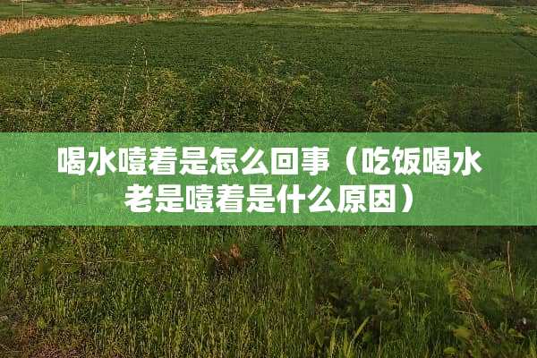 喝水噎着是怎么回事（吃饭喝水老是噎着是什么原因）