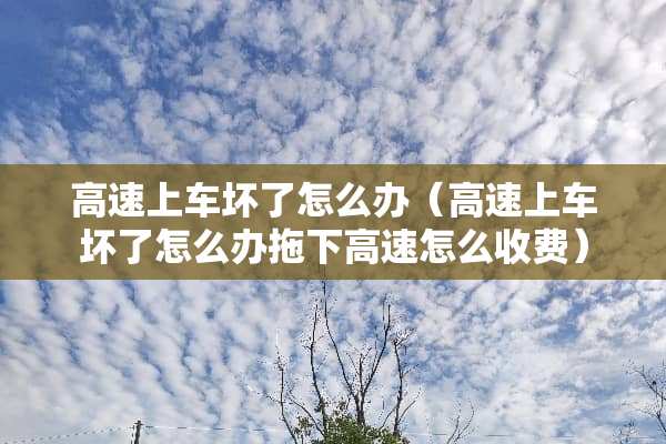 高速上车坏了怎么办（高速上车坏了怎么办拖下高速怎么收费）