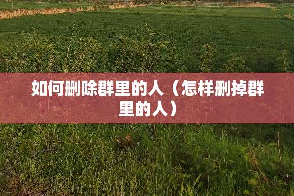 如何删除群里的人（怎样删掉群里的人）