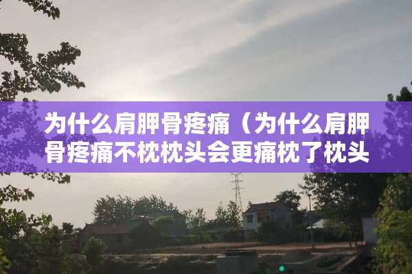 为什么肩胛骨疼痛（为什么肩胛骨疼痛不枕枕头会更痛枕了枕头不疼）