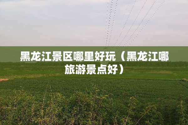 黑龙江景区哪里好玩（黑龙江哪旅游景点好）
