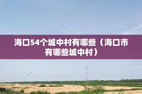 海口54个城中村有哪些（海口市有哪些城中村）