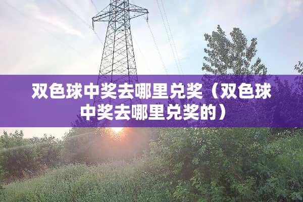 双色球**去哪里兑奖（双色球**去哪里兑奖的）