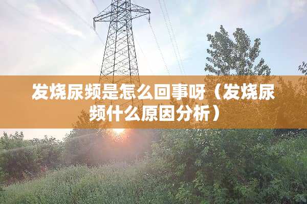 发烧尿频是怎么回事呀（发烧尿频什么原因分析）