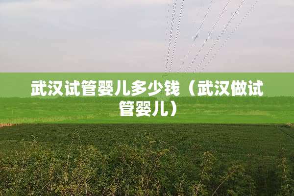 武汉试管婴儿多少钱（武汉做试管婴儿）