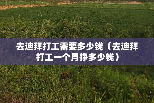 去迪拜打工需要多少钱（去迪拜打工一个月挣多少钱）