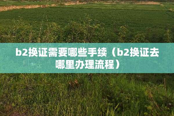 b2换证需要哪些手续（b2换证去哪里办理流程）