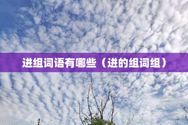 进组词语有哪些（进的组词组）