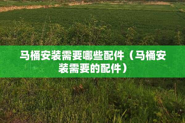 马桶安装需要哪些配件（马桶安装需要的配件）