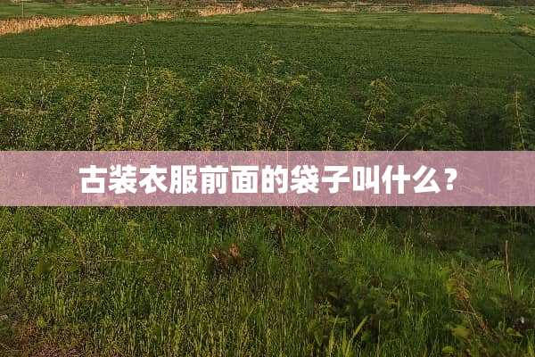 古装衣服前面的袋子叫什么？