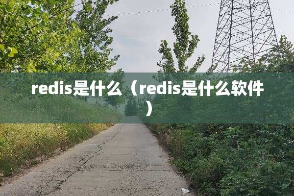 redis是什么（redis是什么软件）