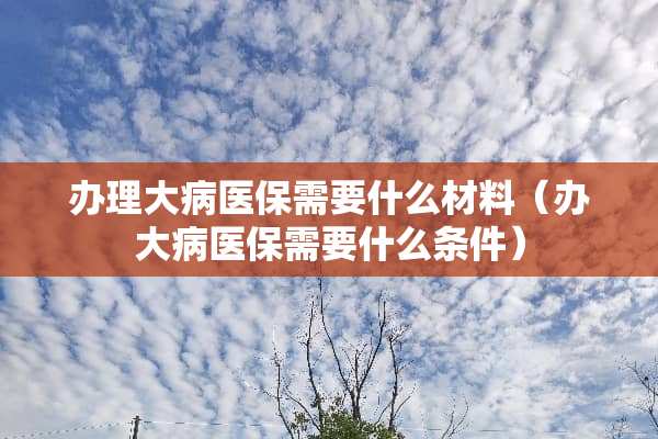 办理大病医保需要什么材料（办大病医保需要什么条件）
