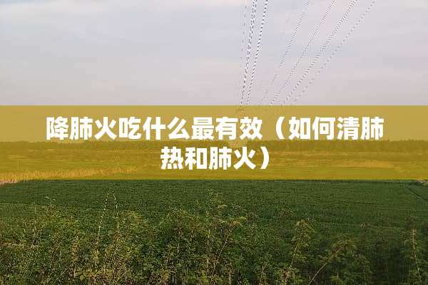 降肺火吃什么最有效（如何清肺热和肺火）