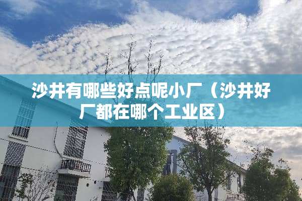 沙井有哪些好点呢小厂（沙井好厂都在哪个工业区）