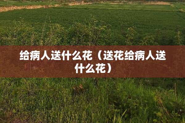 给病人送什么花（送花给病人送什么花）