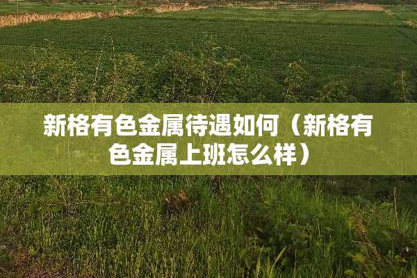 新格有色金属待遇如何（新格有色金属上班怎么样）