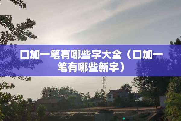 口加一笔有哪些字大全（口加一笔有哪些新字）