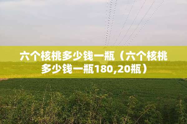 六个核桃多少钱一瓶（六个核桃多少钱一瓶180,20瓶）