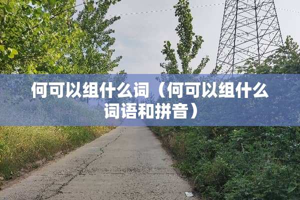 何可以组什么词（何可以组什么词语和拼音）