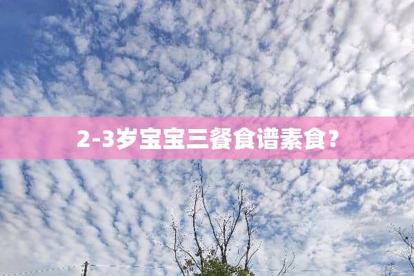 2-3岁宝宝三餐食谱素食？