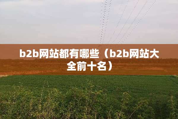 b2b网站都有哪些（b2b网站大全前十名）