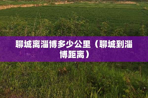 聊城离淄博多少公里（聊城到淄博距离）