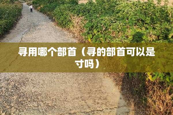 寻用哪个部首（寻的部首可以是寸吗）