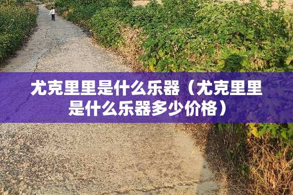尤克里里是什么乐器（尤克里里是什么乐器多少价格）