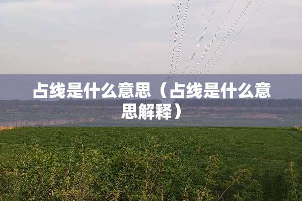 占线是什么意思（占线是什么意思解释）