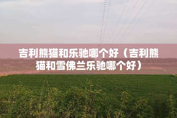 吉利熊猫和乐驰哪个好（吉利熊猫和雪佛兰乐驰哪个好）