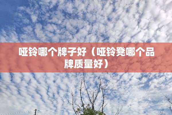 哑铃哪个牌子好（哑铃凳哪个品牌质量好）