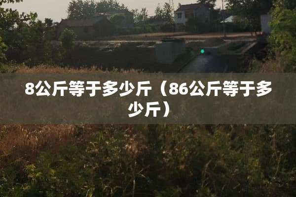 8公斤等于多少斤（86公斤等于多少斤）