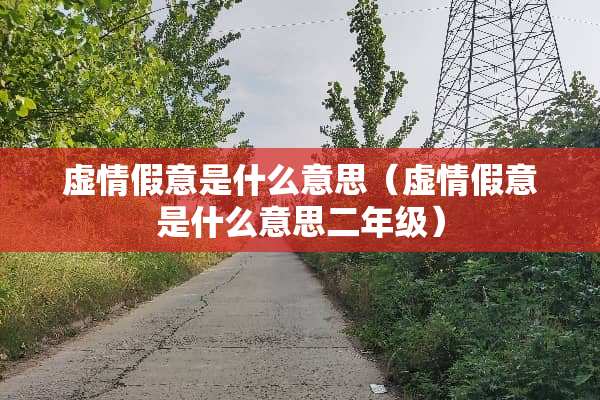 虚情假意是什么意思（虚情假意是什么意思二年级）