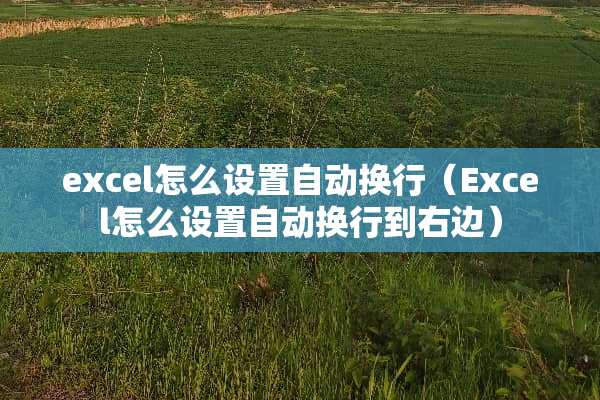excel怎么设置自动换行（Excel怎么设置自动换行到右边）