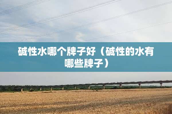 碱性水哪个牌子好（碱性的水有哪些牌子）