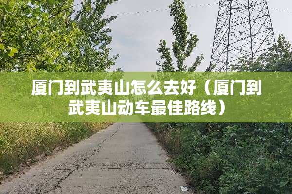 厦门到武夷山怎么去好（厦门到武夷山动车最佳路线）