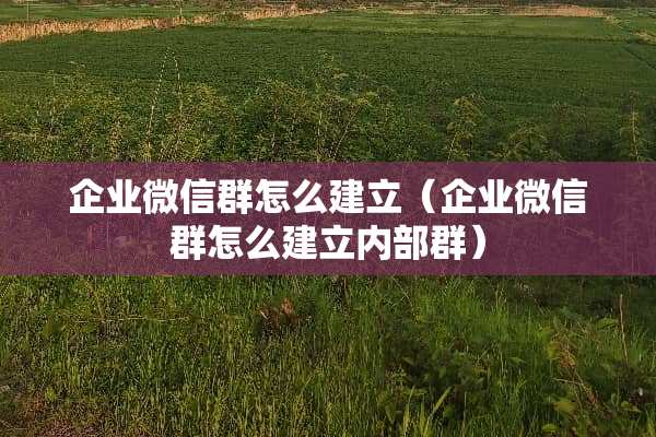 企业微信群怎么建立（企业微信群怎么建立内部群）
