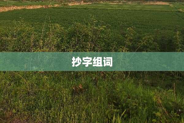 抄字组词