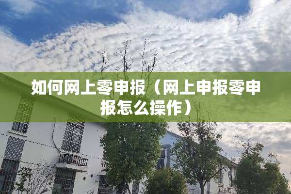 如何网上零申报（网上申报零申报怎么操作）