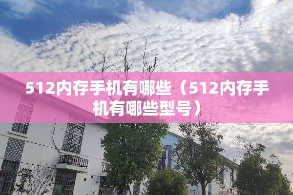 512内存手机有哪些（512内存手机有哪些型号）