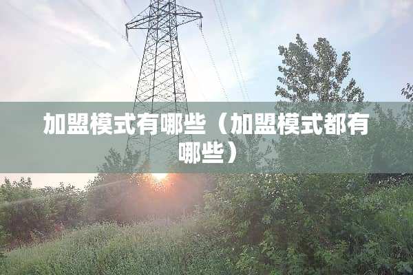 加盟模式有哪些（加盟模式都有哪些）